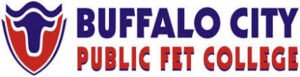 Buffalo City College Application Status Tracking Portal - www.bccollege.co.za