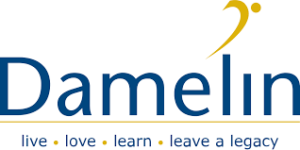 Damelin Applications Link