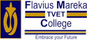 Flavius Mareka College Applications Link