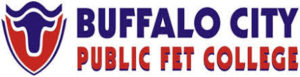 Buffalo City College Applications, Requirements & Courses Offered 