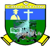 Ruaha University College (RUCO) Application form