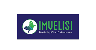 Imvelisi Enviropreneurs Online Bootcamp for young African Enviropreneurs